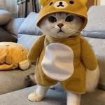 Sandra Claros - @claros572 - Instagram