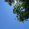 clearly.sandra - @clearly.sandra - TikTok