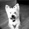 Sandra Cleves - @sandra.cleves1 - TikTok