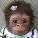 Sandra Clegg - @sandra.clegg.9 - Instagram