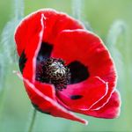 Sandra Clegg - @sandra.clegg.39 - Instagram