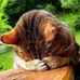 Sandra Clemente - Facebook