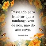 Sandra Clemente - @clemente_sandra - Instagram