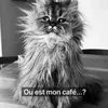 sandraclichet - @sandraclichet - TikTok
