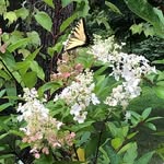 Sandra Clift - @shclift - Instagram
