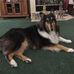Sandra Coan - Facebook