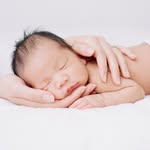 Sandra Coan Studios | Seattle - @sandracoanstudios - Instagram