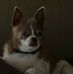 Sandy Coberly - Facebook