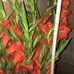 Sandra Cobos - Facebook