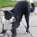 Sandra Cockerill - Facebook