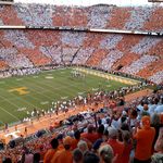 Sandra Coggins - @smokeyvol - Instagram