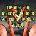 sandra colindres - @sandra.colindres.549 - Instagram