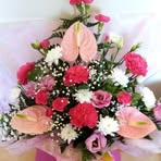 Sandra Collard - Facebook