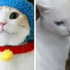 Sandra Colocho - @sandracolocho2 - TikTok