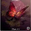 Sandra Colocho Luna - @scolocho - TikTok