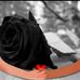 Sandra Coloma - Facebook
