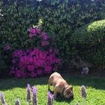 Sandra Colomé - @sandycolome - Instagram