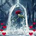Sandra Colomé - Facebook