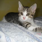 Sandra Colosimo - Facebook