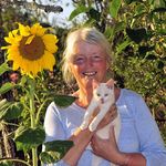 Sandra Colston - @colst - Instagram