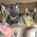 Sandra Colston - Facebook