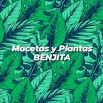 Sandra Colunga - @macetasyplantasbenjita - Instagram