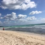 Sandra Coniglio - Facebook
