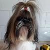 sandraconiglioo - @sandraconiglioo - TikTok