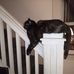 Sandra Conn - Facebook
