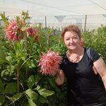Sandra Conn Gordon - @sandraagordon54 - Instagram