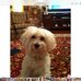 Sandra Conner - Facebook