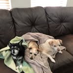 Sandra Connell - Facebook