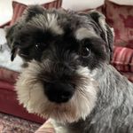 Sandra Connell - @sandra.connell.927 - Instagram
