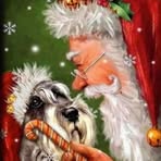 Sandra Connell - Facebook
