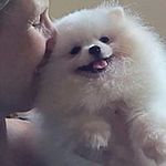 Sandra Conti - @conti297 - Instagram