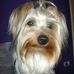 Sandra Contrera - Facebook