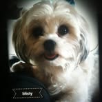 Sandy Converse - Facebook