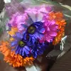 Sandra cool - @sandracool509 - TikTok