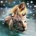 Sandra Cool - Facebook
