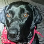 Sandra Cooper - Facebook