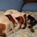 Sandra Copley - Facebook