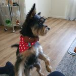 Sandra Copley - @sandra.copley.10 - Instagram