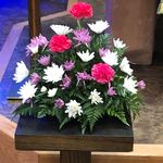 Sandra Seeley-Copley - @sandyseeleycopley - Instagram