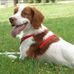 Sandra Coppee - Facebook