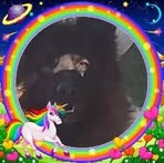 Sandra Coppens - Facebook