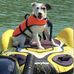 Sandra Coppens - Facebook
