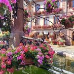 Sandra Schilling Cordes - @sandra_schilling2 - Instagram