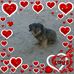Sandra Coria - Facebook