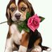 Sandra Coria - Facebook