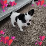 Sandy Corliss - @sandy.corliss - Instagram